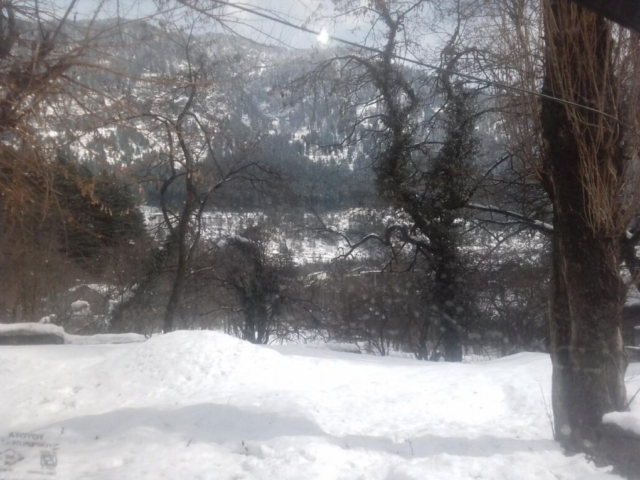snow fall and some popular hills Shimla