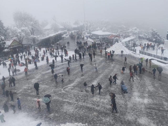 Prospect Hill Shimla